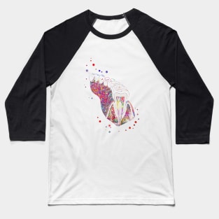 Molar tooth section Baseball T-Shirt